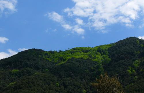 Mas Els Terrats - Foto 132