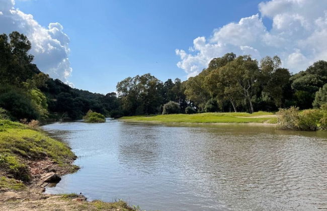 Affittimoderni Viddalba Terme - Vite12 - Foto 15