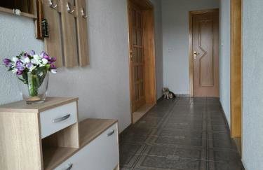 Apartman Mihaela - Photo 36