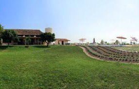 Agrimargherita - Foto 7