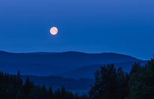 Smerekowiec Domek w lesie - Beskid Niski - Foto 38