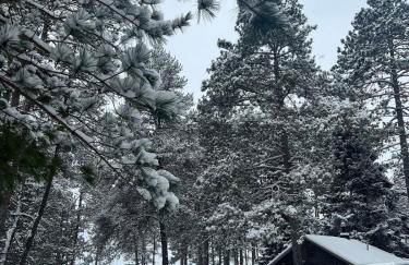 Cedaroma Lakeview cozy Cabin 6 Amazing Views - Photo 5