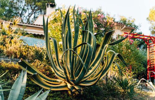 Les Lodges de Saint Cassien - Foto 38