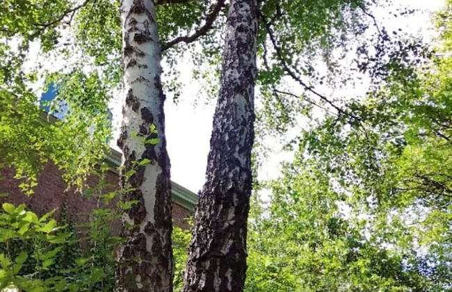 La Belle Vigne - Namur - Foto 37