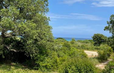 Palauma Plage - Foto 26