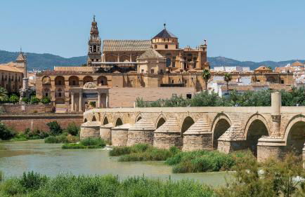 Nueva Córdoba Judería - Foto 50