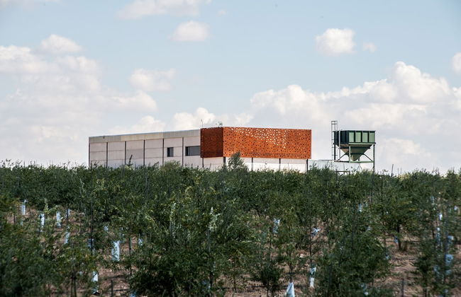 Finca Luz de Alba - Photo 34