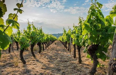 Maison de ville Le Colombier Proche Pistes Cyclables - Foto 25