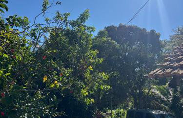 Casa Descanso e Natureza II - Foto 24