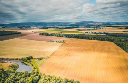 Muirton Cottage - Photo 15