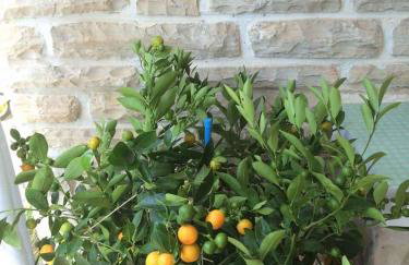 Apartment Marina - Foto 27