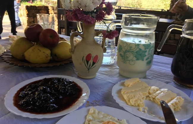 Farma Sotira - Foto 35