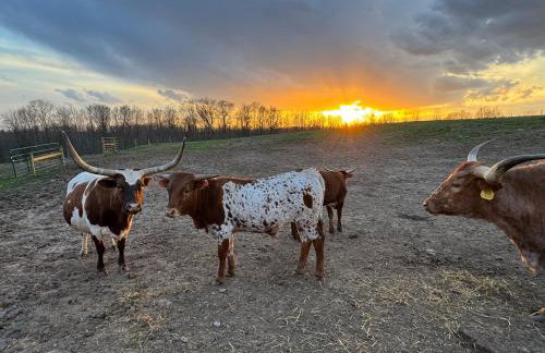 Charming Farmhouse Retreat - Foto 26