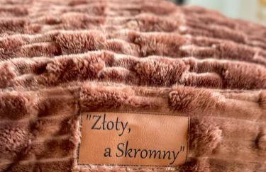 Zloty, a Skromny - ogrodzony domek z jacuzzi i widokiem na jezioro - Foto 56