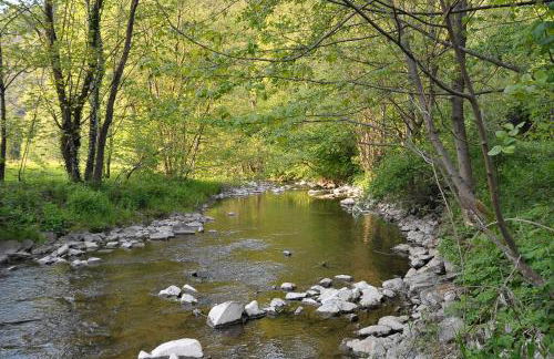 Rothaarsteig Ferienhaus - Foto 17