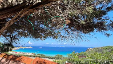 Casa Captain Howard Blackburn - fronte mare con giardino - Santa Teresa di Gallura - Photo 3