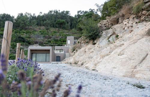 Quinta da Ribeirinha - Douro River - Foto 56