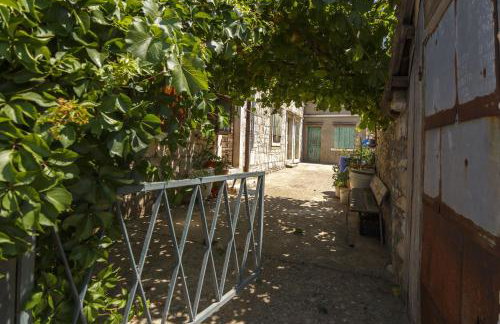 Holiday house with a parking space Okljucna, Vis - 14875 - Foto 8