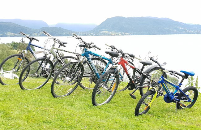 Irenegarden - Foto 36