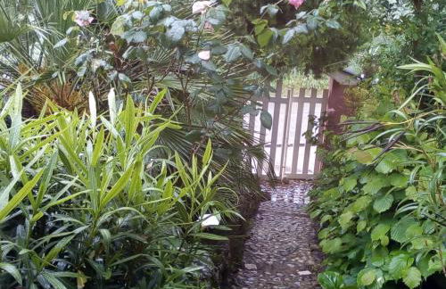 domus rosada - Foto 21