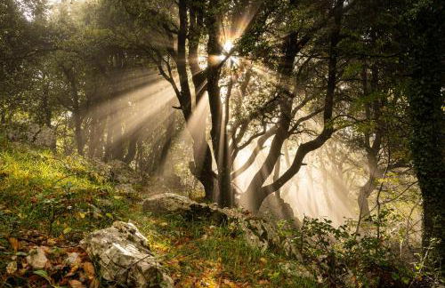 Casa Vacanza Le Viste Holiday home and spa - Foto 22