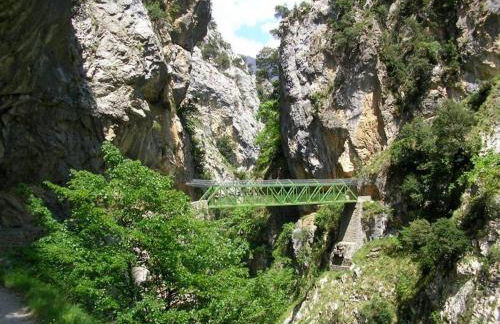 VIVIENDAS DE USO TURÍSTICO La Arboleda I y II - Foto 55