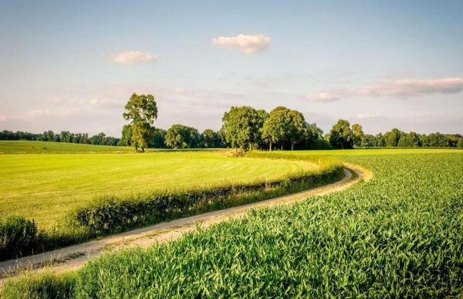 Chalet in Zuna by Tennis Court - Foto 37