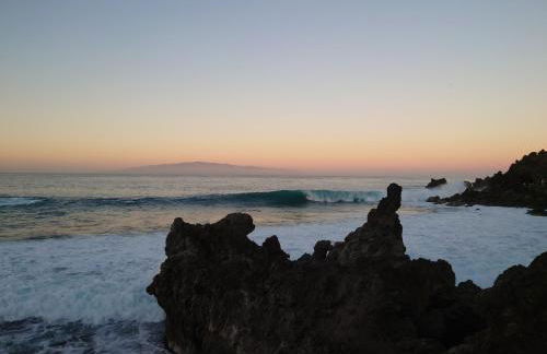 Finca Don Victor - Foto 38