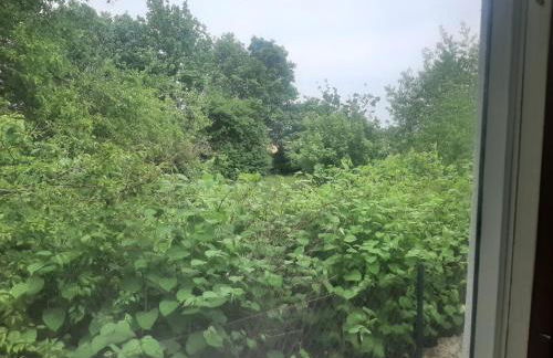 An der Holthemme - Foto 7