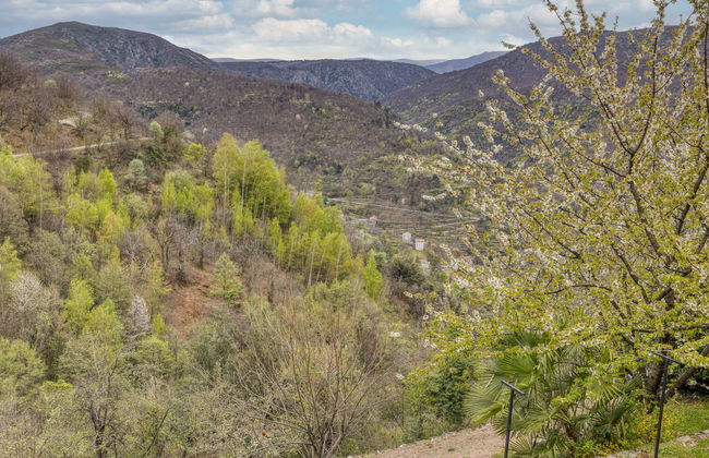 Le Trépadou - Foto 5