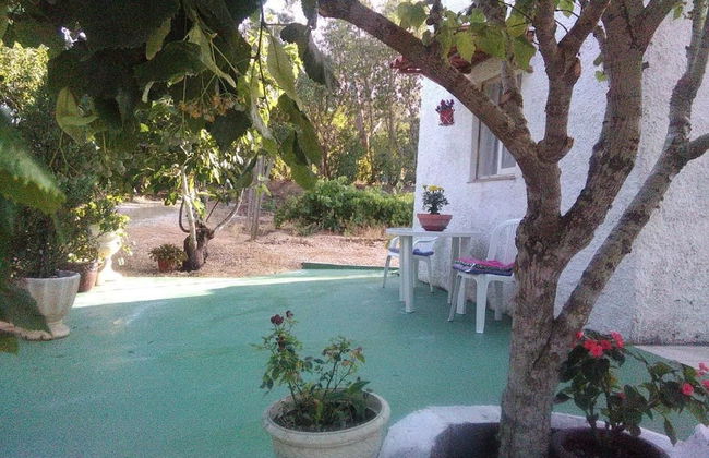 Nature Houses - Foto 23