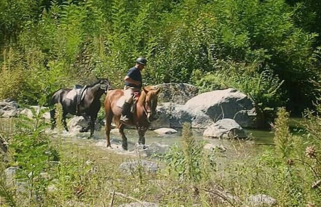 Agriturismo San Filippo - Foto 18