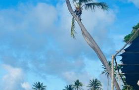 Casa Riacho Doce- Praia Havaizinho - Photo 8