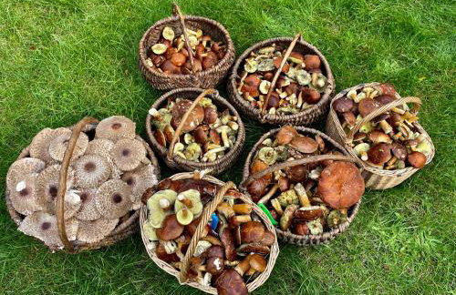 Chatka mojego dziadka - Foto 35