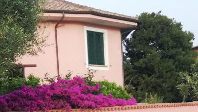 Domo Rosada - Foto 3