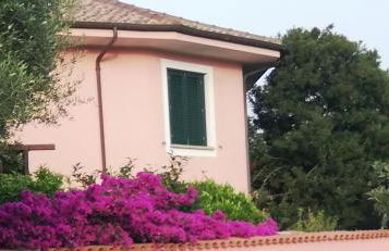 Domo Rosada - Foto 3