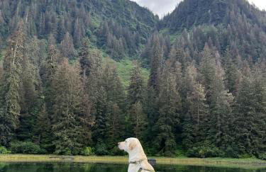 Cozy Luxury Close to Downtown 204 - Foto 12