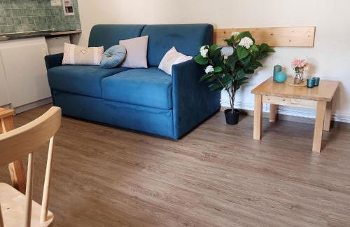 Gite Bruyère, 2 à 5 personnes avec salle de jeux et SPA dans la résidence - Foto 17