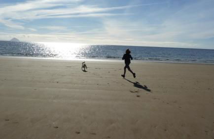 Kinneil Self Catering - Photo 34