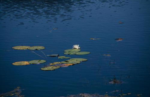 Herdade de Montalvo - Comporta - Photo 34