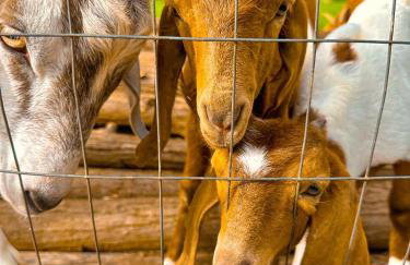 Hospedagem Zilz - Foto 41