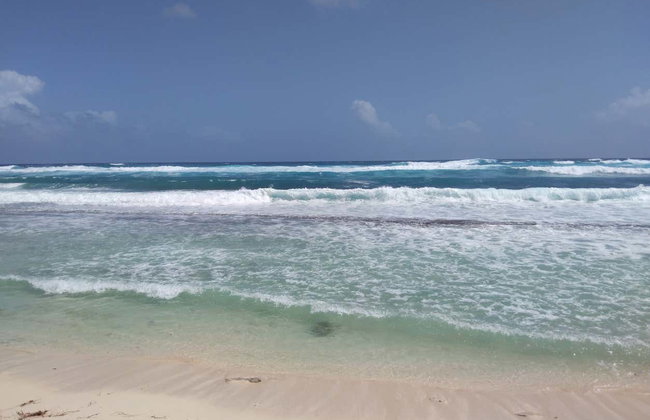 Excursion à Playa Tranquila - Photo 9