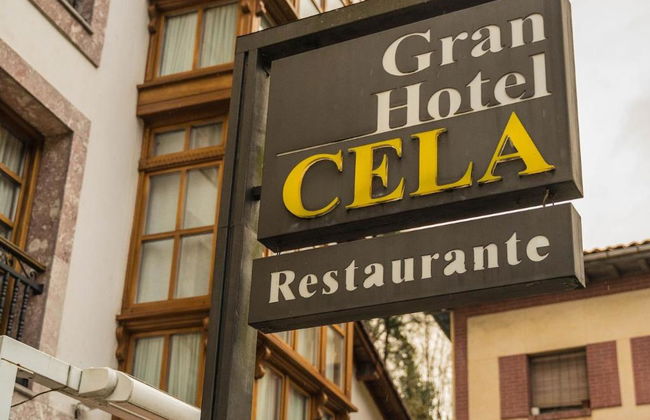 Gran Hotel Rural Cela - Foto 7