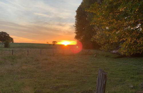 Himmelreich Rügen - Foto 76