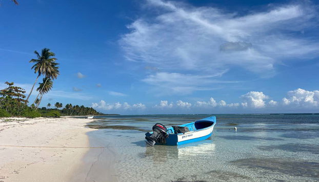 Excursion à l'île de Saona en bateau - Photo 3