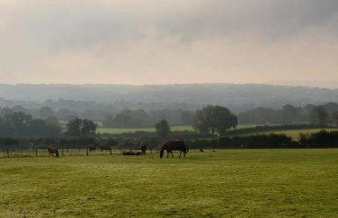 Forton House Shepherd's Huts - Foto 28