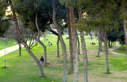 Joaquín Sorolla - Foto 26