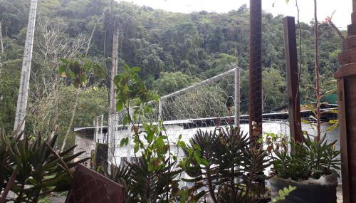 Pertinho da Mata - Foto 3