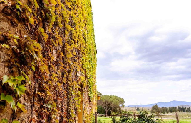 Agriturismo Bio Fattoria di Pietra - Foto 78