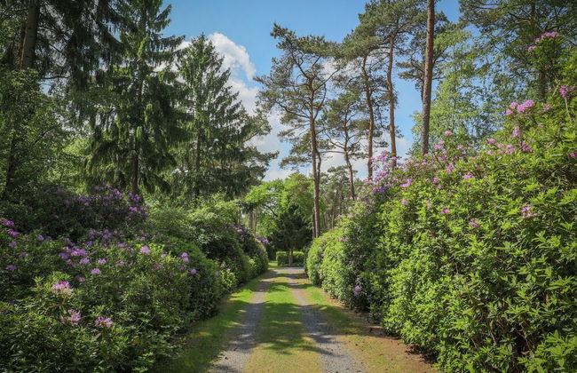 Holiday Home in Huijbergen Near Forest - Foto 13
